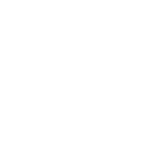 tollevin logo white
